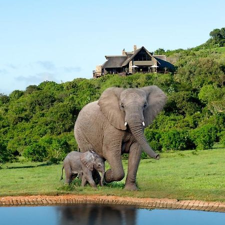 Hopewell Private Game Reserve Buyskloof Εξωτερικό φωτογραφία