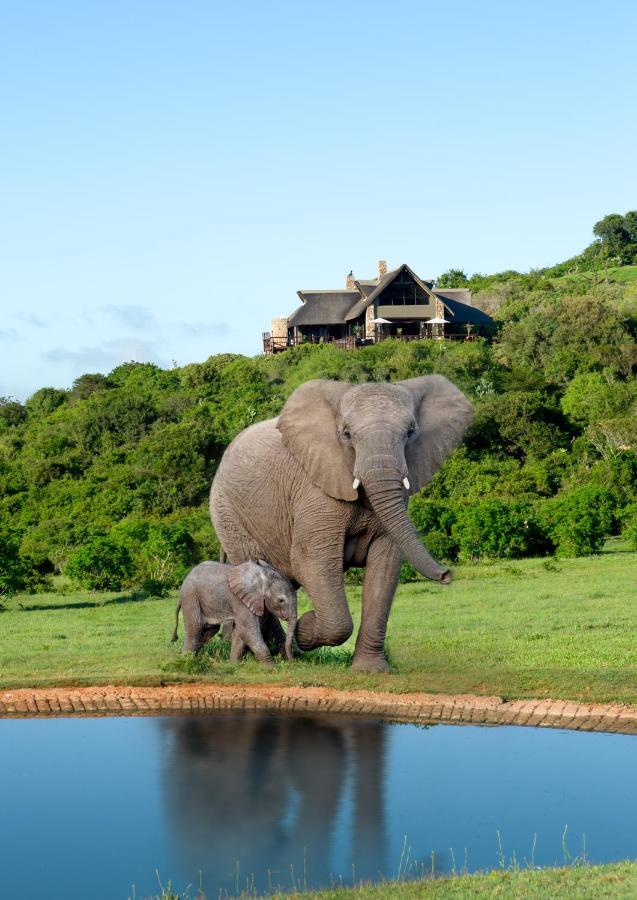 Hopewell Private Game Reserve Buyskloof Εξωτερικό φωτογραφία