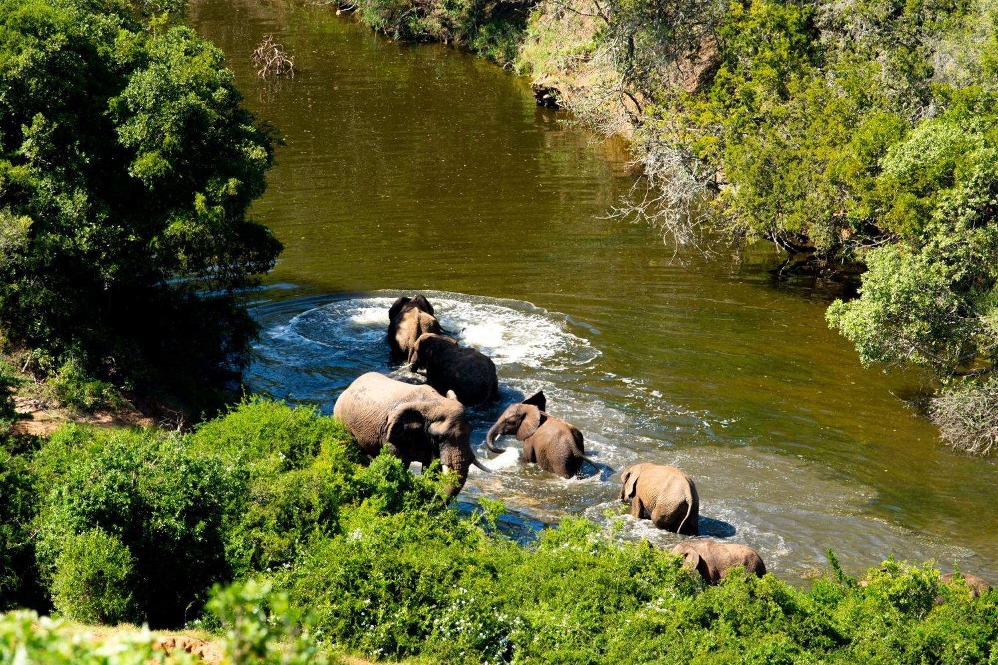 Hopewell Private Game Reserve Buyskloof Εξωτερικό φωτογραφία